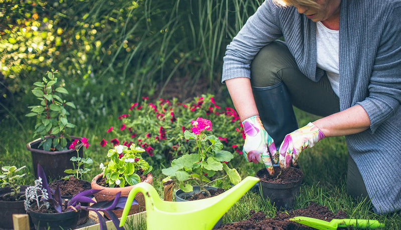 Your Spring Garden Prep Checklist