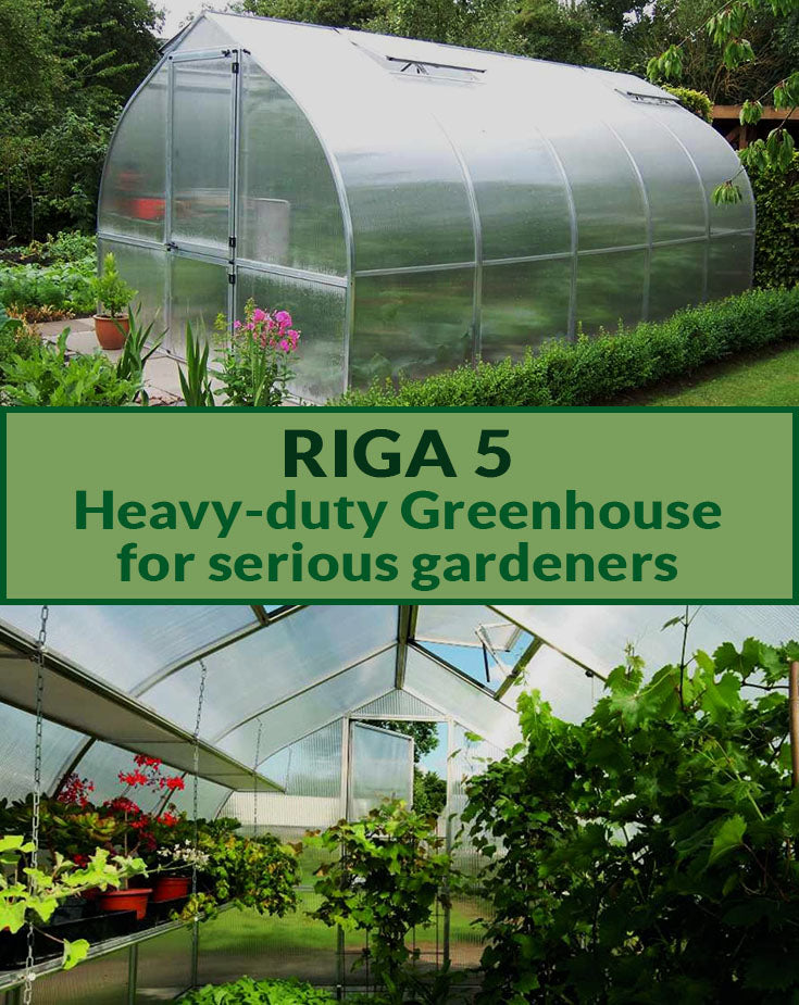 Exaco Riga 5 Greenhouse 10×18